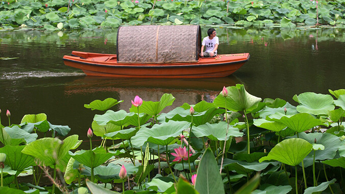 Xuanwu Lake Lotus Festival 玄武湖莲花节